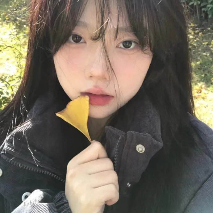 少数派报告